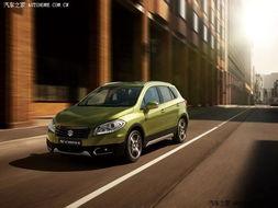 國(guó)產(chǎn)在線(xiàn)s,探索本土原創(chuàng)內(nèi)容新篇章